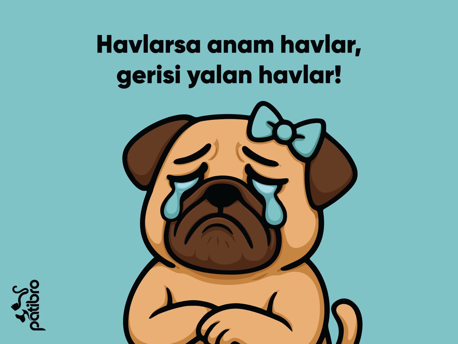 Kahraman Köpek Paspası