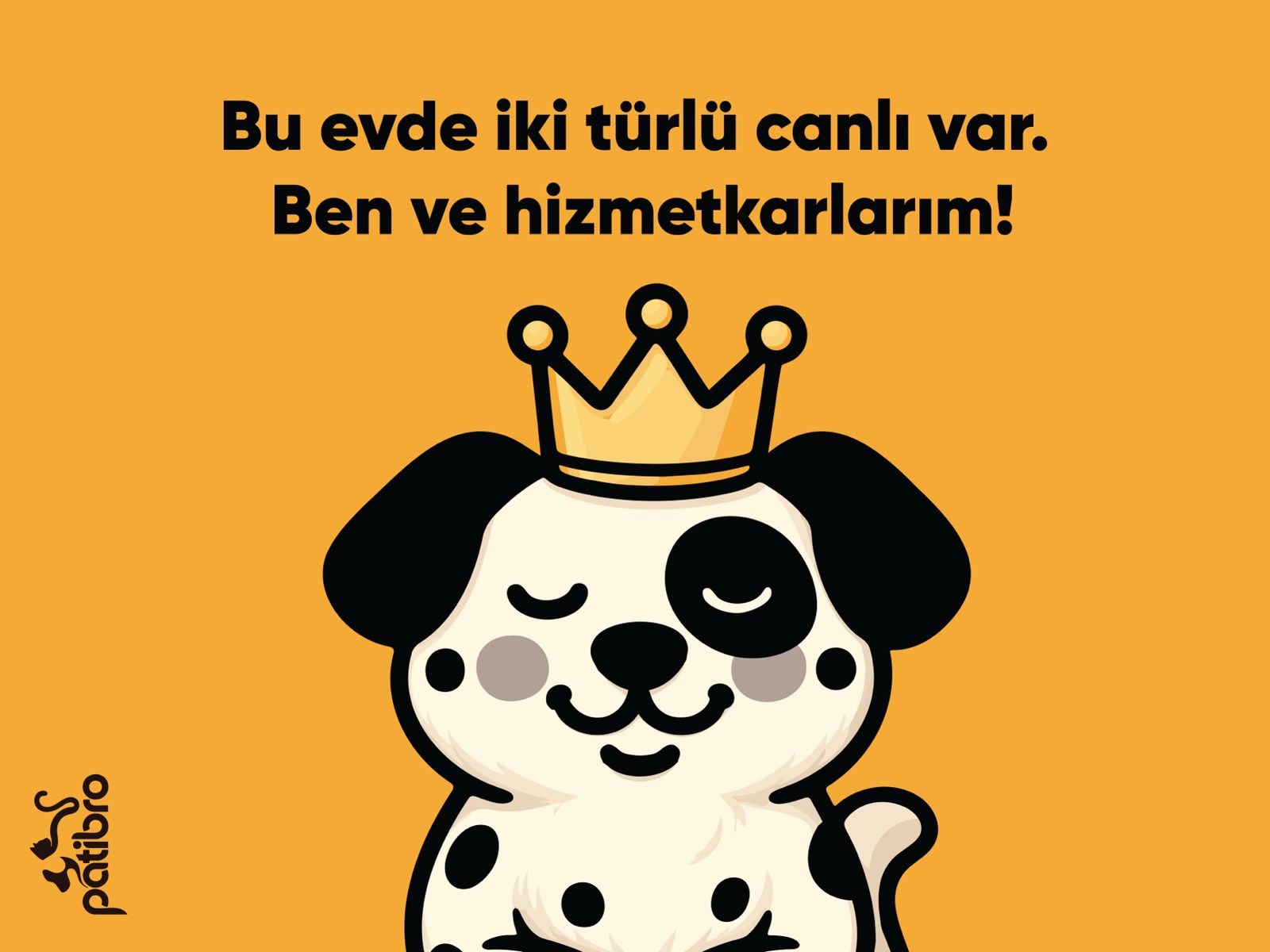 Gözlüklü Kedi Paspası